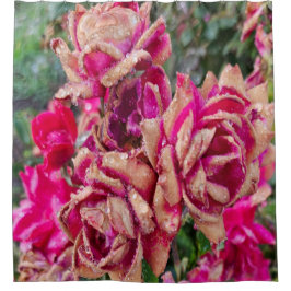 Antike Rose Duschvorhang