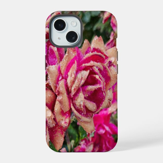 Antike Rosen  iPhone 15 Hülle (Rückseite)
