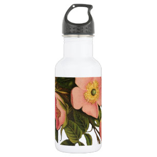 Antike Rosen Schönes Rosa Botanisch Edelstahlflasche