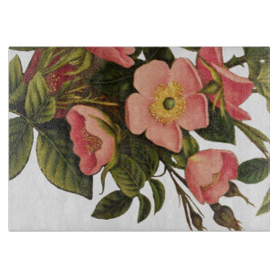 Antike Rosen Schönes Rosa Botanisch Schneidebrett