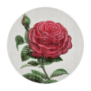 Antike Rosenlithografie, François-Frédéric Grobon Schneidebrett