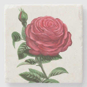 Antike Rosenlithografie, François-Frédéric Grobon Steinuntersetzer
