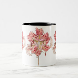 Antike rote Blume gezeichnet von Samuel Colman Zweifarbige Tasse