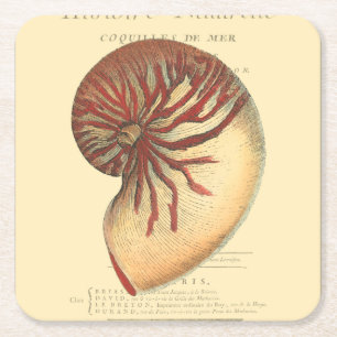 Antike rote Meereschnecke Rechteckiger Pappuntersetzer