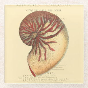 Antike rote Meeresschnecke Glasuntersetzer