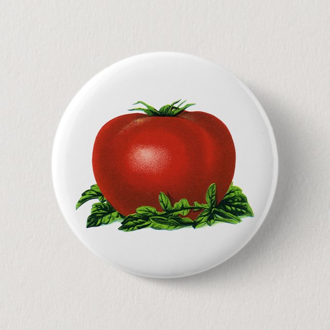 Antike rote reife Tomate, Gemüse und Früchte Button (Vorderseite)