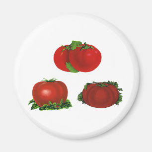 Antike rote reife Tomaten Lebensmittel, Obst, Gemü Magnet