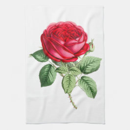 Antike Rote Rose einfach Geschirrtuch