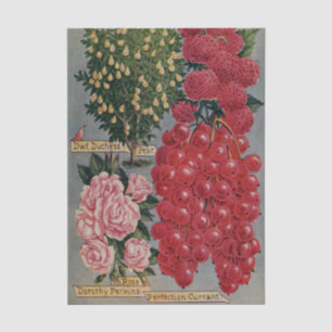 Antike Samenkataloge Obst und Blumen Seidenpapier