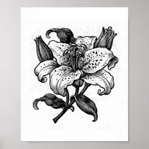 Antike schwarze und weiße Lilienblume Poster