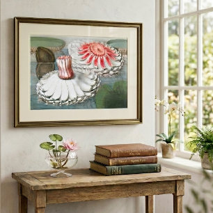 Antike Seerosen Blumen in einem Teich Poster