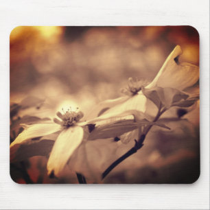 Antike sepiafarbene Blüten des Hartriegels Mousepad