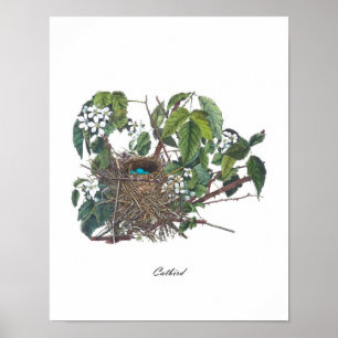 Antike Shabby Chic-Wohngestaltung-Kunst des Poster