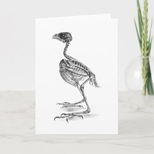 Antike Skelett-Radierung eines Babyvogels Karte