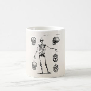 Antike Skelette Anatomie Skelette 19. Jahrhundert Kaffeetasse