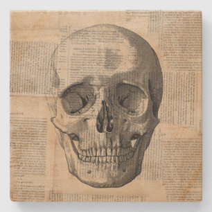 Antike Skull Illustration Vintage Kunstwerke Press Steinuntersetzer