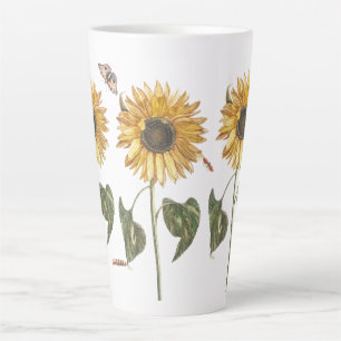 Antike Sonnenblume Raupe Schmetterling Zeichnend Milchtasse