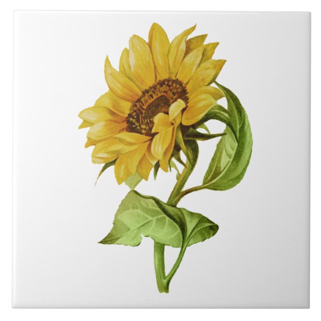 Antike Sonnenblume Rustikale Blumen Fliese (Vorderseite)