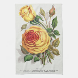 Antike Sonnenuntergangs-Rose Gelb & Orange Botanis Geschirrtuch