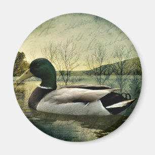Antike Stockente verwitterte Postkarte Magnet