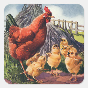 Antike Tiere, Huhn mit Küken auf dem Bauernhof Quadratischer Aufkleber