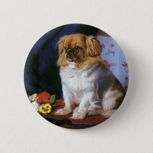 Antike Tiere, Spielzeug-Pekingese-Hund Button