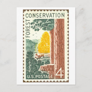 Antike US-amerikanische Briefmarke zur Waldschutzv Postkarte