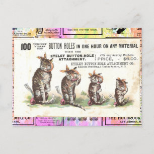 Antike viktorianische Katzen mit Zahnschmerzen Pos Postkarte