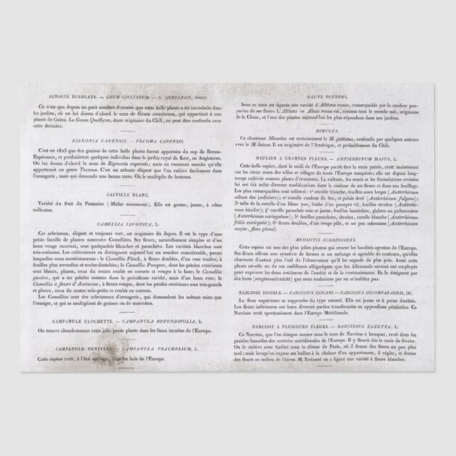 Antike Vintage französische Buchseiten Seidenpapier (Vorderseite)