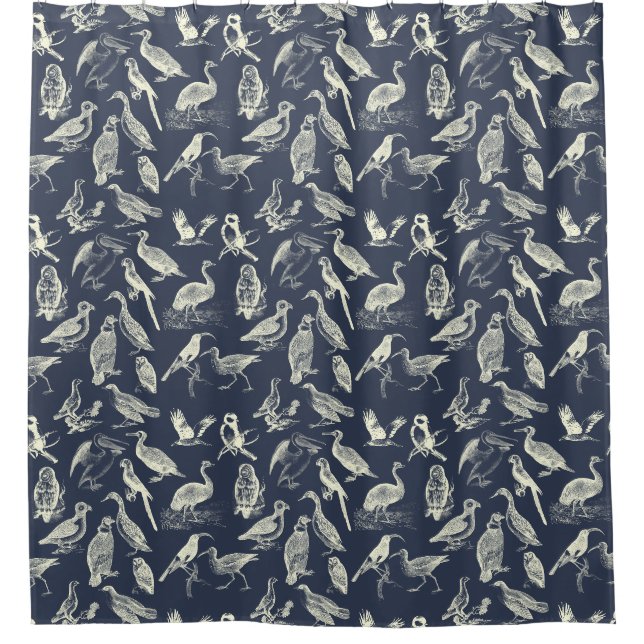 Antike Vögel Illustrationen Gravuren Cream Navy Duschvorhang (Vorderseite)