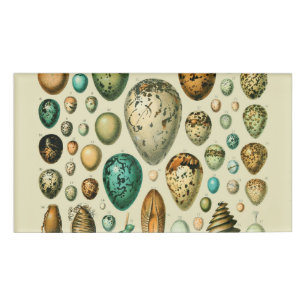 Antike Vogeleier Französische Fischeier-Kunst Namenschild
