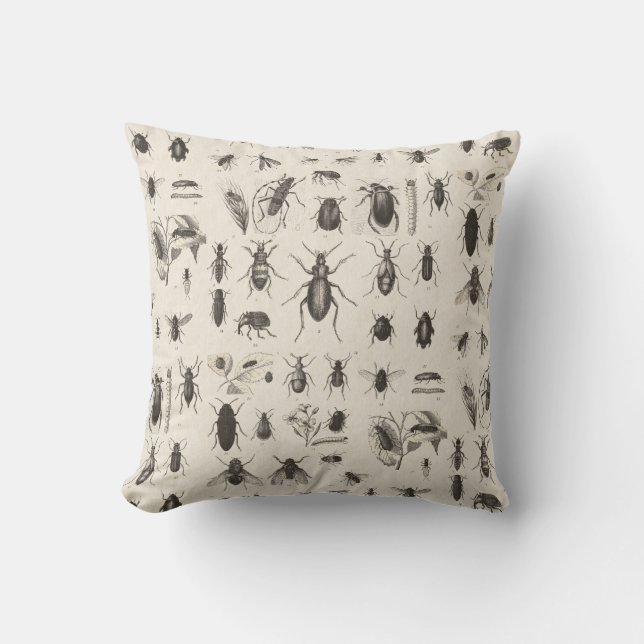 Antike Wanzen-und Insekten-Entomologie Kissen (Vorderseite)