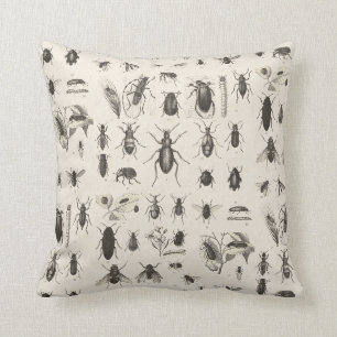 Antike Wanzen-und Insekten-Entomologie Kissen