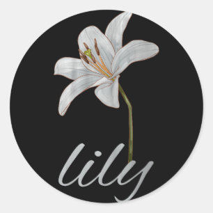 antike weiße Lilienblume retro floral Runder Aufkleber