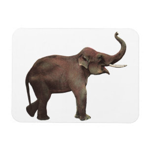 Antike wilde Tiere, Glück Asiatische Elefanten Magnet