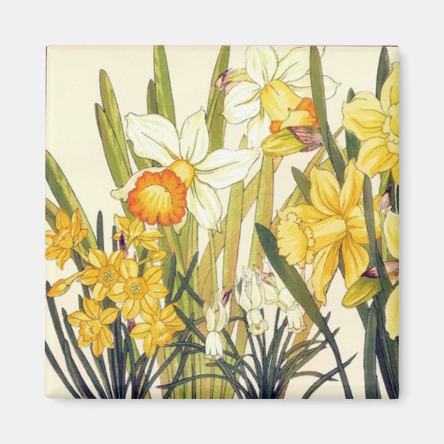 Antike Wood Block Print Daffodils Magnet (Vorne)