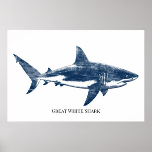 Antike Zeichnung eines Hais Poster