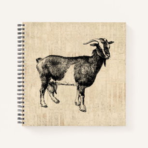 Antike ZiegenIllustration mit Skripthintergrund Notizbuch