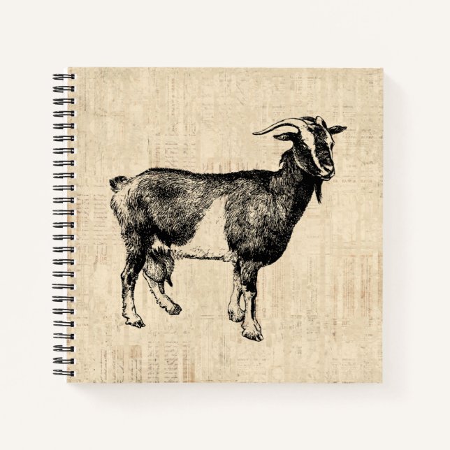 Antike ZiegenIllustration mit Skripthintergrund Notizbuch (Vorderseite)