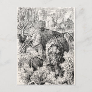 Antiker afrikanischer Elefant aus dem 19. Jahrhund Postkarte
