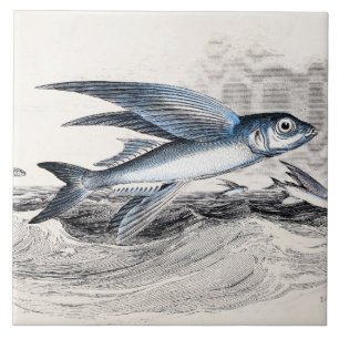 Antiker Blaue Fliegende Fische In Ozeanwellen 1800 Fliese