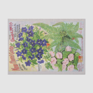 Antiker Blumen-Katalog-Blumenseidenpapier Seidenpapier