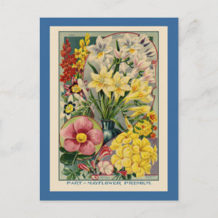 Antiker Blumenkatalog Postkarte
