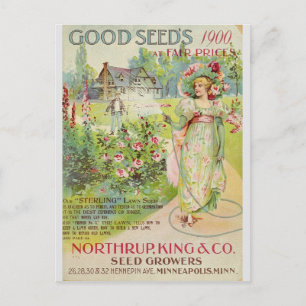 Antiker Blumensamen-Katalog für den Garten Postkarte