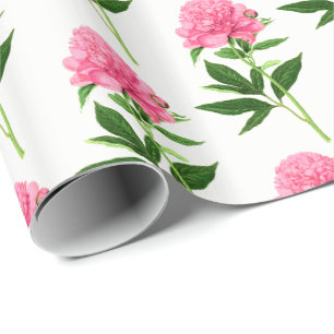 Antiker botanischer Druck, pastellrosa Pfingstrose Geschenkpapier
