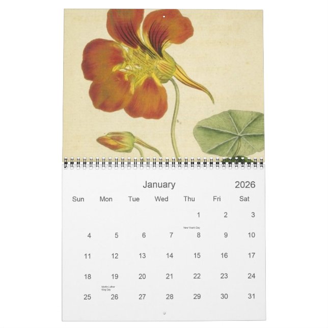 Antiker Botanischer Kalender (Jan 2026)