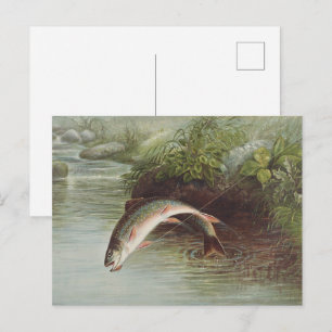 Antiker Druck eines springenden Bachforellen beim  Postkarte