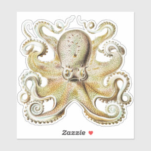 Antiker Ernst Haeckel Oktopus Nautisches Meer Lebe Aufkleber