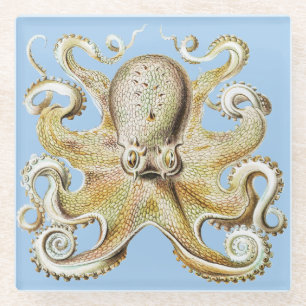 Antiker Ernst Haeckel Oktopus Nautisches Meer Lebe Glasuntersetzer