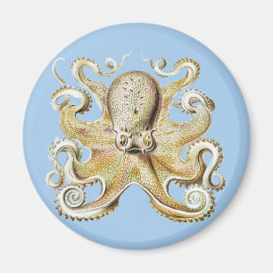 Antiker Ernst Haeckel Oktopus Nautisches Meer Lebe Magnet